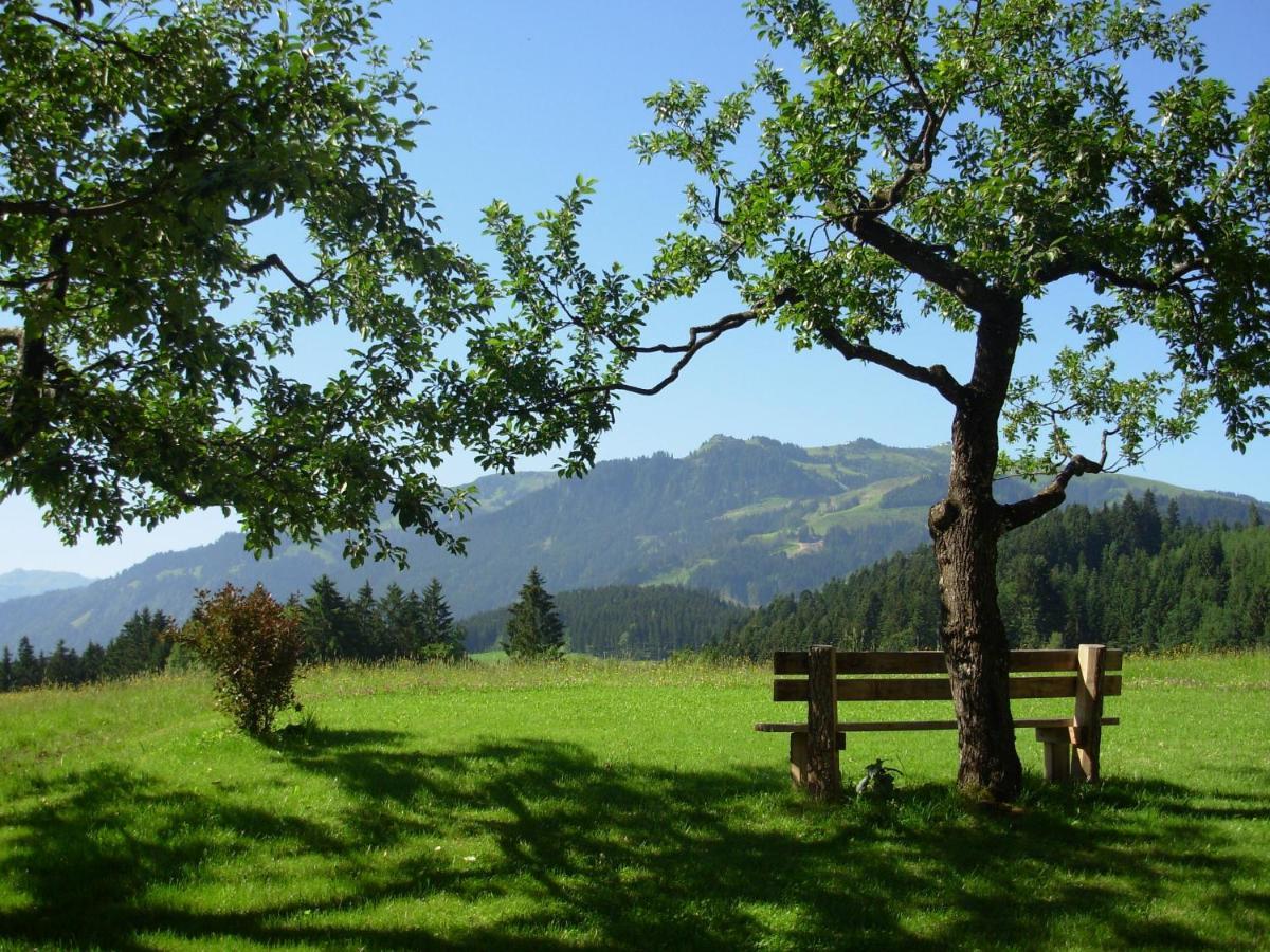 Filzenhof Apartment Kitzbuhel Phòng bức ảnh