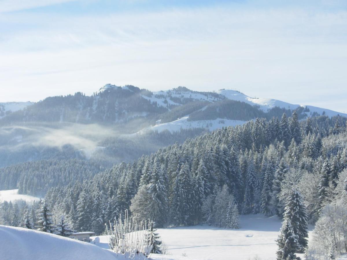 Filzenhof Apartment Kitzbuhel Ngoại thất bức ảnh